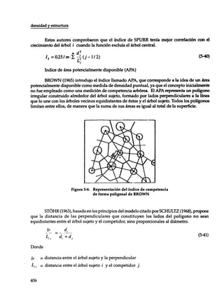 Mensura forestal