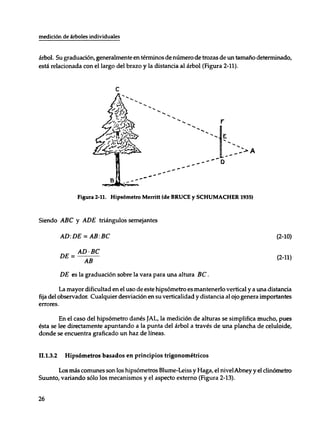 Mensura forestal