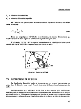 Mensura forestal
