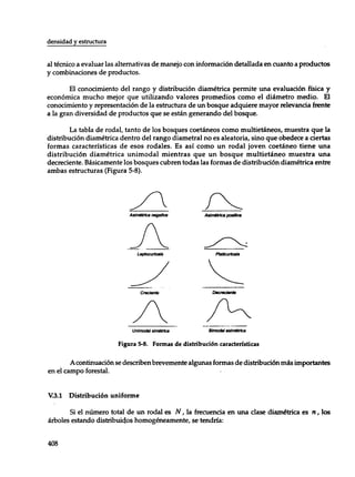 Mensura forestal