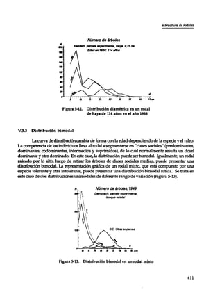 Mensura forestal