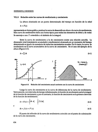 Mensura forestal