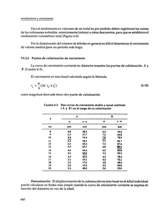 Mensura forestal