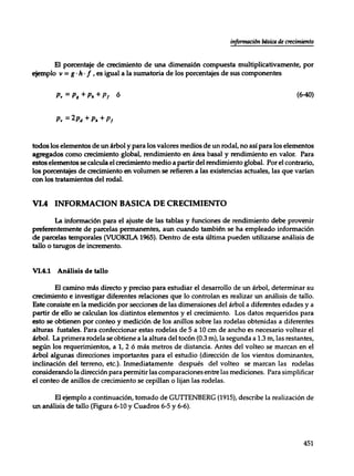 Mensura forestal