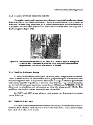 Mensura forestal