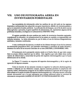Mensura forestal