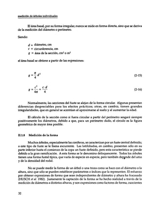 Mensura forestal