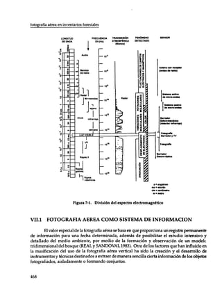 Mensura forestal