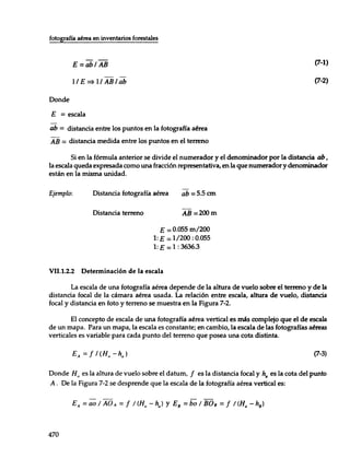 Mensura forestal