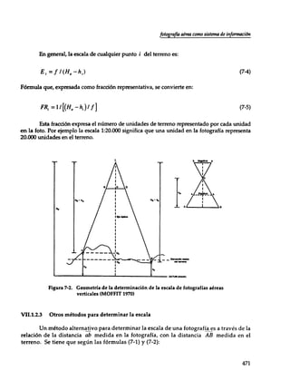Mensura forestal