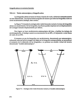 Mensura forestal