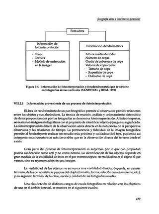 Mensura forestal