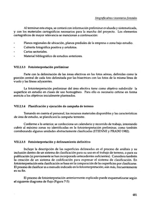 Mensura forestal