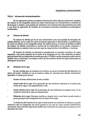 Mensura forestal