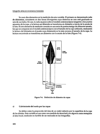 Mensura forestal