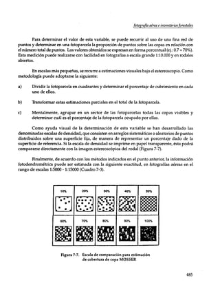 Mensura forestal