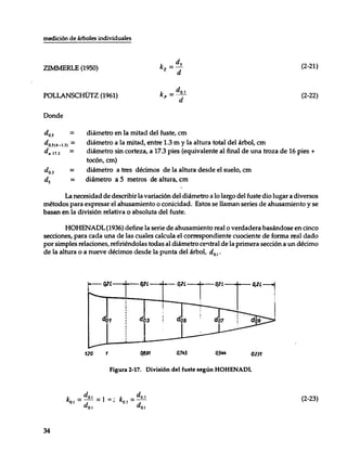 Mensura forestal