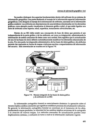 Mensura forestal