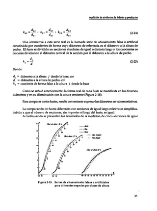 Mensura forestal