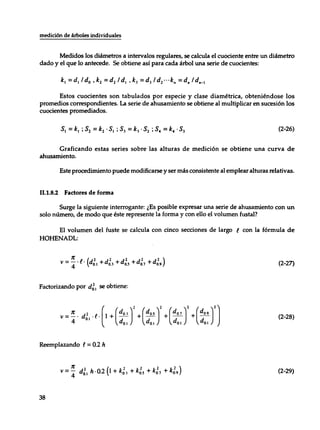 Mensura forestal
