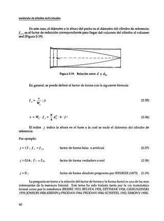 Mensura forestal