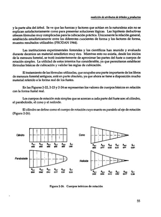 Mensura forestal
