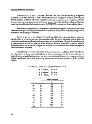 Mensura forestal