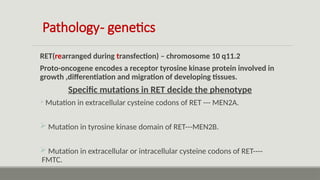 Comprehensive Overview of MEN 2 Syndromes: Genetics, Diagnosis, and ...