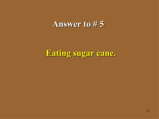 Answer to # 5 Eating sugar cane. 