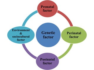 Genetic
factor
Prenatal
factor
Perinatal
factor
Postnatal
factor
Environment
&
sociocultural
factor
 