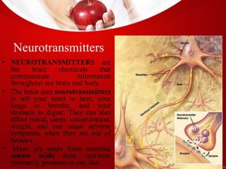 THE EFFECT OF THE DIET ON BRAIN NEUROTRANSMITTERS AND NURSING ... - Neurotransmitter Balance Through Diet