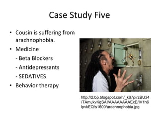 Case Study Five Cousin is suffering from arachnophobia.  Medicine - Beta Blockers - Antidepressants - SEDATIVES Behavior therapy http://2.bp.blogspot.com/_k07pirzBU34/TAmJxvKgSAI/AAAAAAAAExE/IV1h6lpvkEQ/s1600/arachnophobia.jpg 