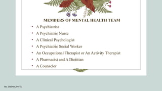 Comprehensive Overview of the Multidisciplinary Mental Health Team and ...