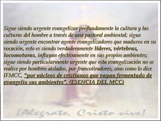 Sigue siendo urgente evangelizar profundamente la cultura y las
culturas del hombre a través de una pastoral ambiental; sigue
siendo urgente encontrar agente evangelizadores que maduros en su
vocación, esto es siendo verdaderamente líderes, vértebras,
locomotoras, influyan efectivamente en sus propios ambientes;
sigue siendo particularmente urgente que esta evangelización no se
realice por hombres aislados, por francotiradores, sino como lo dice
IFMCC, “por núcleos de cristianos que vayan fermentado de
evangelio sus ambientes”. (ESENCIA DEL MCC)

 