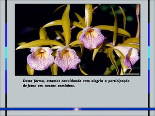 Desta forma, estamos convidando com alegria a participação
de Jesus em nossos caminhos.
 