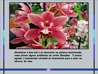 Mentalizar o bem não é só concentrar na palavra mencionada,
como fazem alguns profitentes de certas filosofias. É pensar
agindo, é movimentar servindo de instrumento para o amor no
alicerce do bem.
 