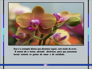 Esse é o exemplo divino que devemos seguir, sem medo de errar.
 A mente dá o início, abrindo diretrizes, para que possamos
tornar visíveis os gestos de amor e de caridade.
 