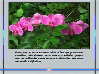Mesmo que a nossa natureza rejeite o bem que procuremos
mentalizar, não devemos parar com esse trabalho, porque
todas as realizações nobres encontram obstáculos, bem como
toda subida é dificultosa.
 