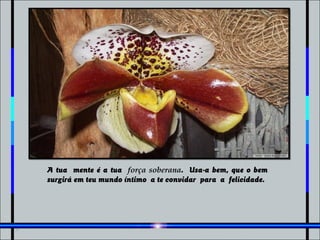 A tua mente é a tua força soberana. Usa-a bem, que o bem
surgirá em teu mundo íntimo a te convidar para a felicidade.
 