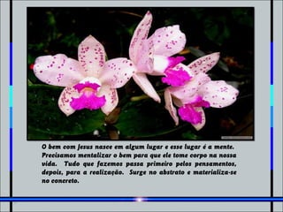 O bem com Jesus nasce em algum lugar e esse lugar é a mente.
Precisamos mentalizar o bem para que ele tome corpo na nossa
vida. Tudo que fazemos passa primeiro pelos pensamentos,
depois, para a realização. Surge no abstrato e materializa-se
no concreto.
 