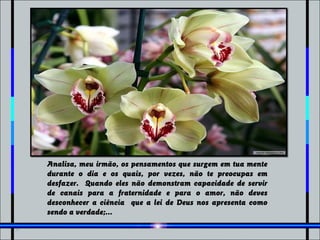 Analisa, meu irmão, os pensamentos que surgem em tua mente
durante o dia e os quais, por vezes, não te preocupas em
desfazer. Quando eles não demonstram capacidade de servir
de canais para a fraternidade e para o amor, não deves
desconhecer a ciência que a lei de Deus nos apresenta como
sendo a verdade;...
 