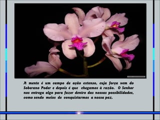 A mente é um campo de ação extenso, cuja força vem do
Soberano Poder e depois é que chegamos à razão. O Senhor
nos entrega algo para fazer dentro das nossas possibilidades,
como sendo meios de conquistarmos a nossa paz.
 