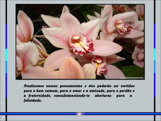 Analisemos nossos pensamentos e eles poderão ser vertidos
para o bem comum, para o amor e a amizade, para o perdão e
a fraternidade, consubstanciando-te aberturas para a
felicidade.
 