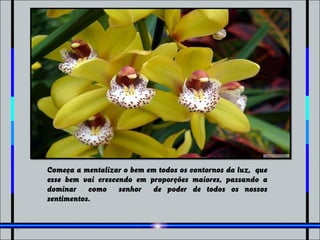 Começa a mentalizar o bem em todos os contornos da luz, que
esse bem vai crescendo em proporções maiores, passando a
dominar como senhor de poder de todos os nossos
sentimentos.
 