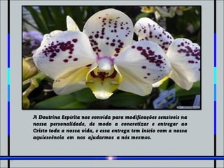 A Doutrina Espírita nos convida para modificações sensíveis na
nossa personalidade, de modo a concretizar e entregar ao
Cristo toda a nossa vida, e essa entrega tem início com a nossa
aquiescência em nos ajudarmos a nós mesmos.
 
