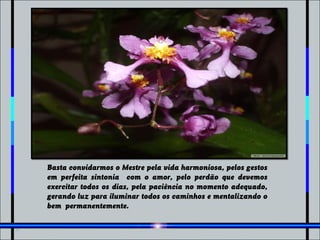 Basta convidarmos o Mestre pela vida harmoniosa, pelos gestos
em perfeita sintonia com o amor, pelo perdão que devemos
exercitar todos os dias, pela paciência no momento adequado,
gerando luz para iluminar todos os caminhos e mentalizando o
bem permanentemente.
 