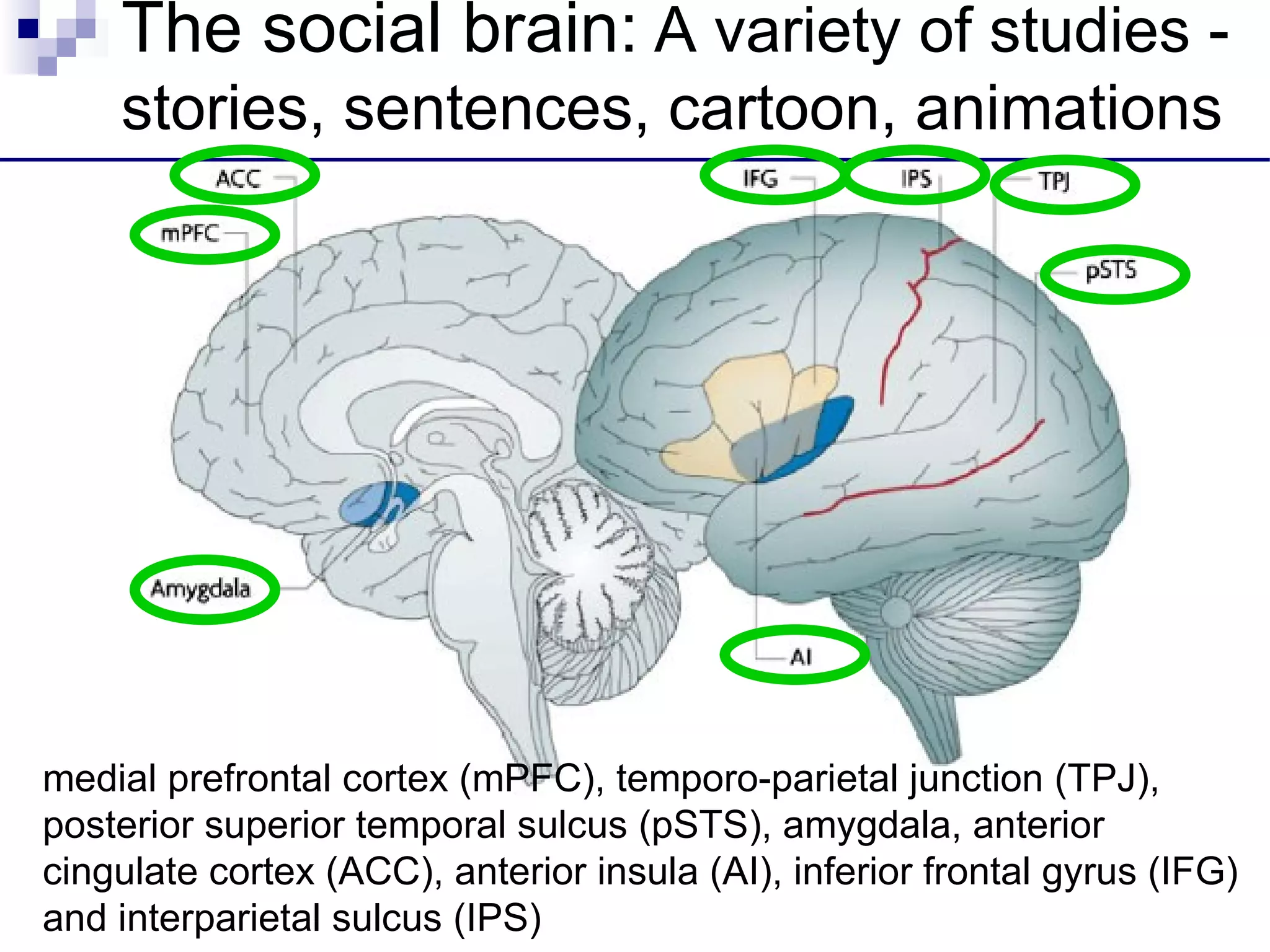 The social brain: A variety of studies -
    stories, sentences, cartoon, animations




medial prefrontal cortex (mPFC), temporo-parietal junction (TPJ),
posterior superior temporal sulcus (pSTS), amygdala, anterior
cingulate cortex (ACC), anterior insula (AI), inferior frontal gyrus (IFG)
and interparietal sulcus (IPS)
 