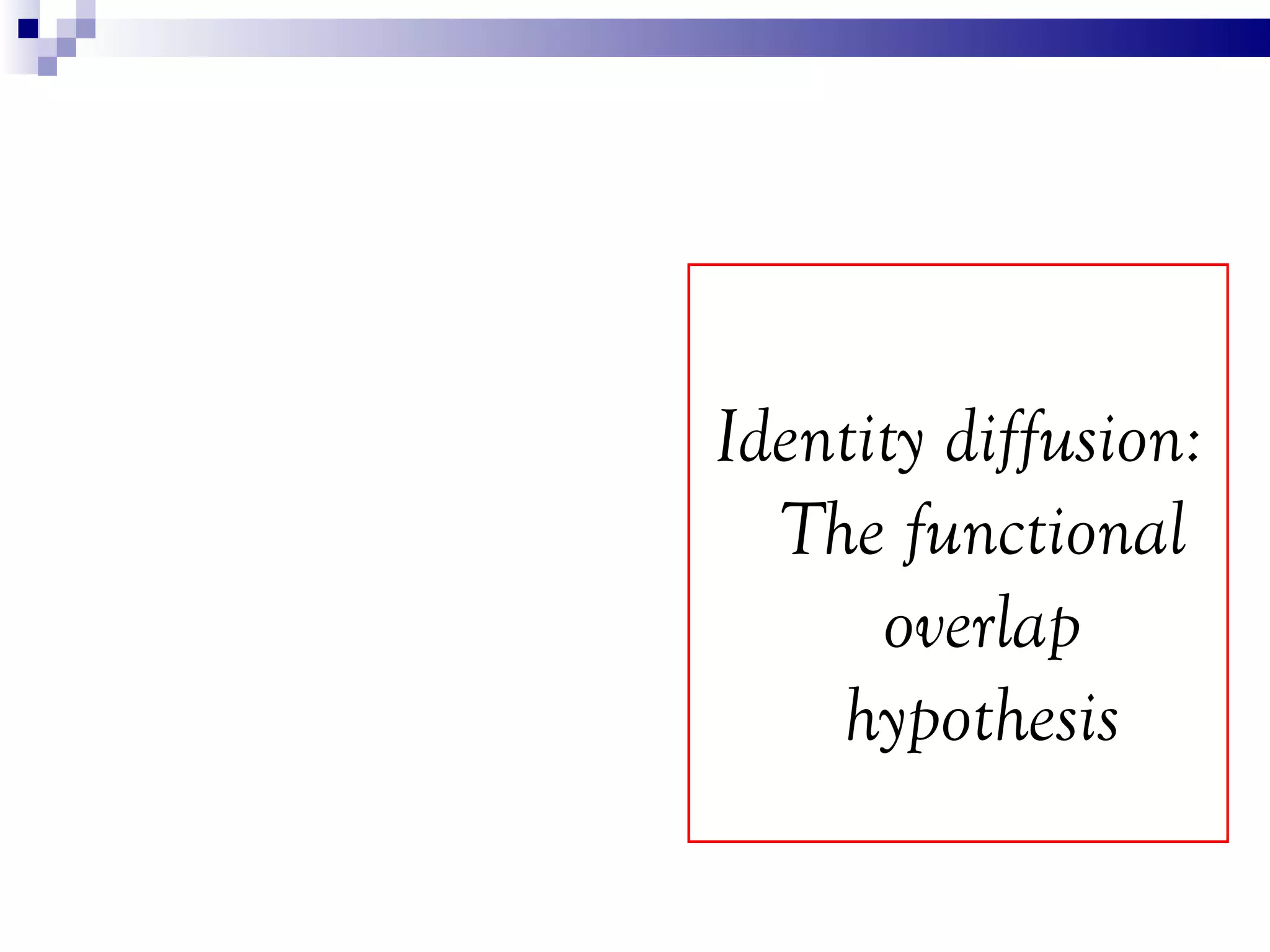 Identity diffusion:
  The functional
      overlap
    hypothesis
 
