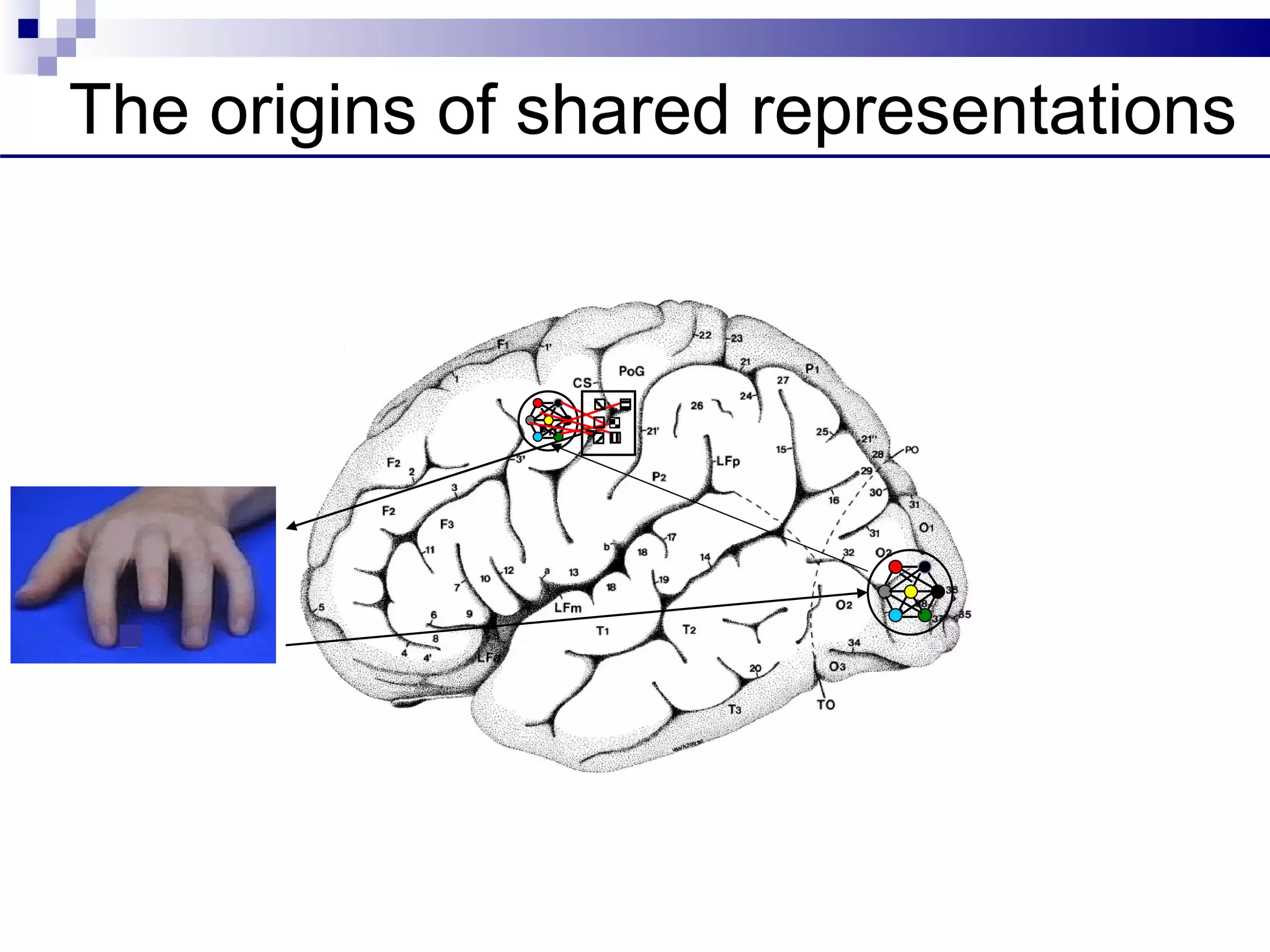 The origins of shared representations
 
