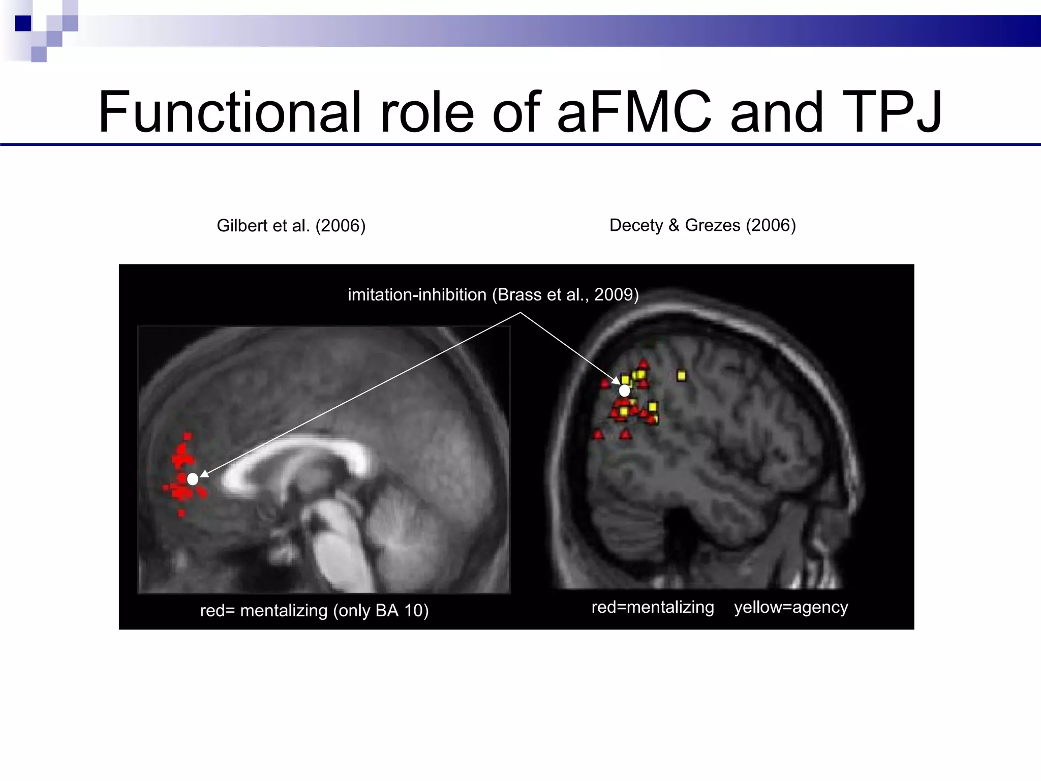 Functional role of aFMC and TPJ
     Gilbert et al. (2006)                                 Decety & Grezes (2006)



                       imitation-inhibition (Brass et al., 2009)




   red= mentalizing (only BA 10)                         red=mentalizing   yellow=agency
 
